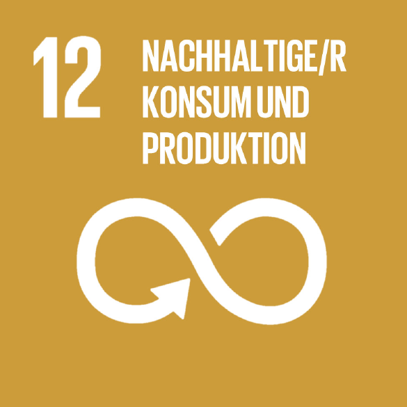 SDG 12